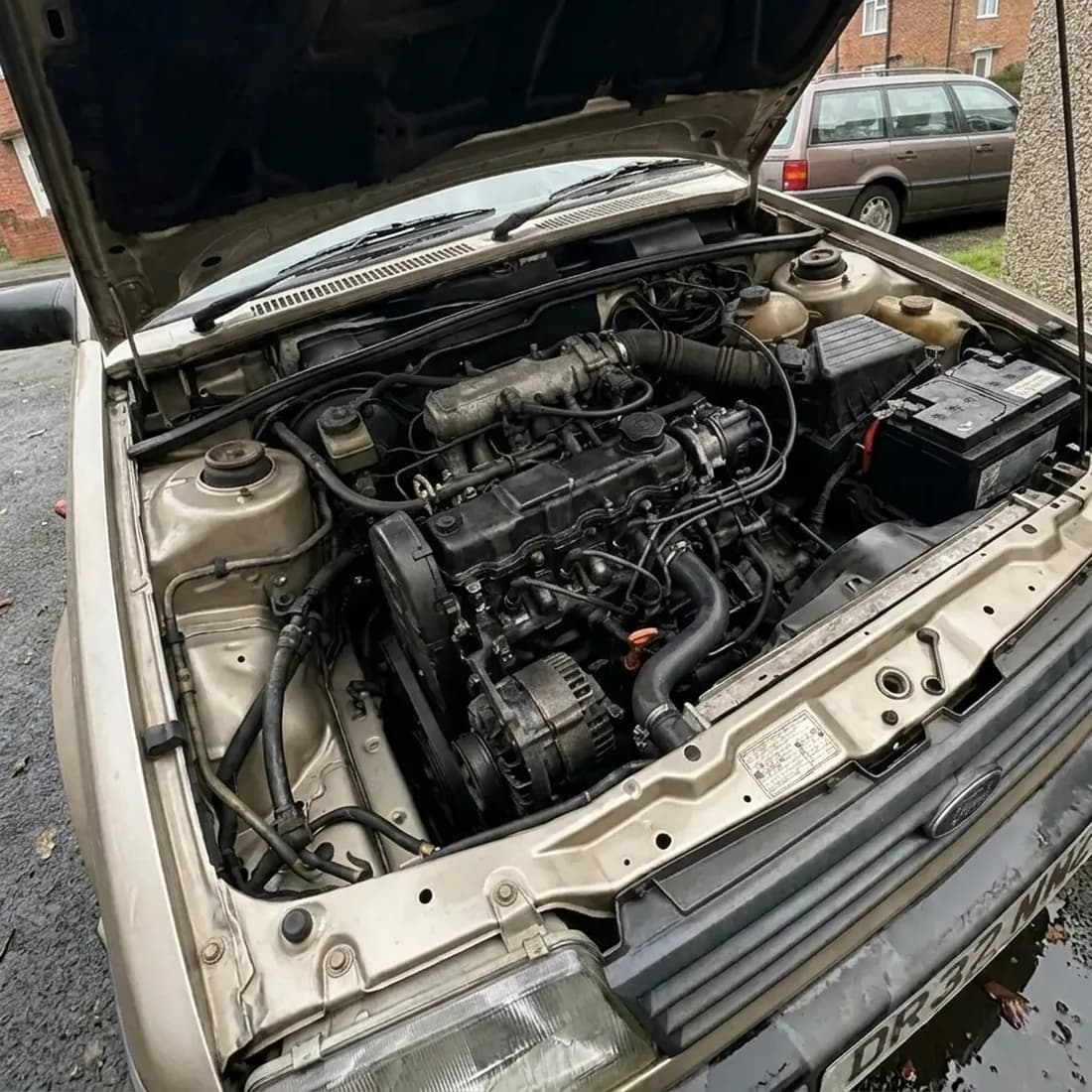 Engine bay cleaned and dressed